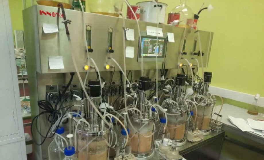 New Using Feedback  Benchtop Multiple Bioreactor Fermenter From Innova Customer
