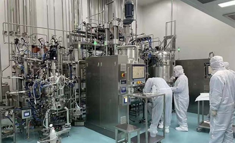 SAT of automatic magnetic stirring fermenter bioreactor in Korea