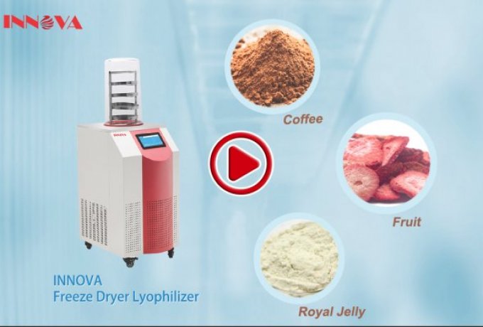 Innova Vacuum Lyophilizer for Food Freeze-drying