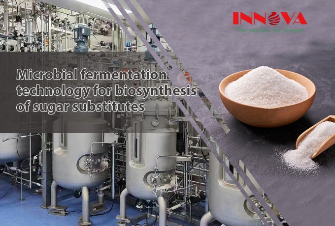 Microbial fermentation technology for biosynthesis of sugar substitutes