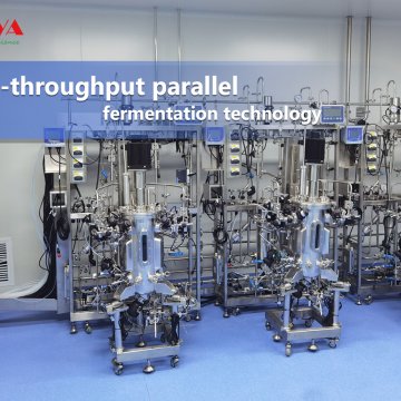 High-throughput parallel fermentation technology