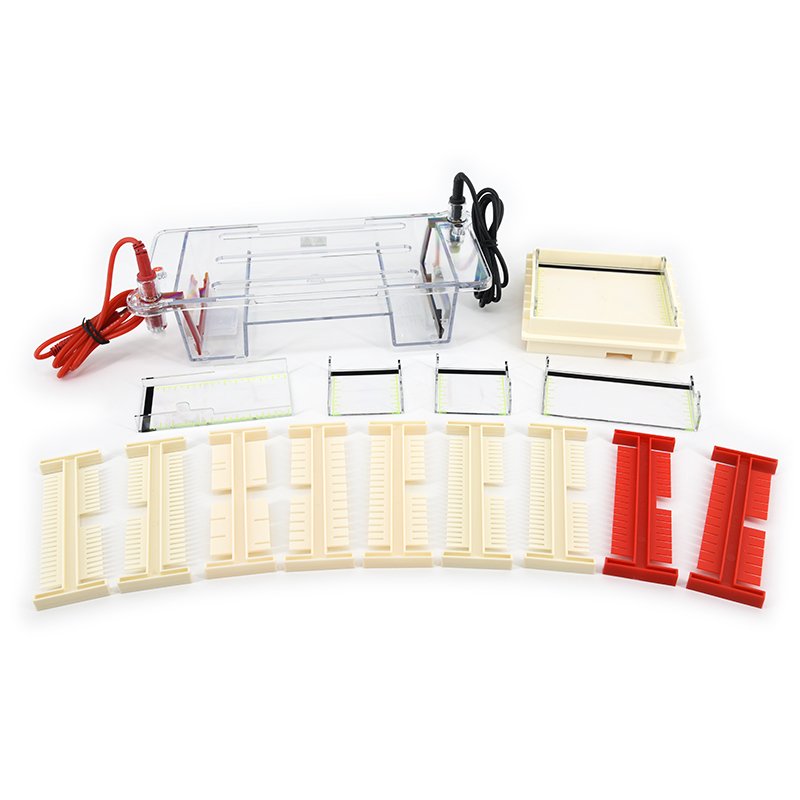 Horizontal Electrophoresis Cell