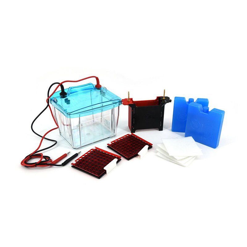 Trans-Blotting Electrophoresis Cell