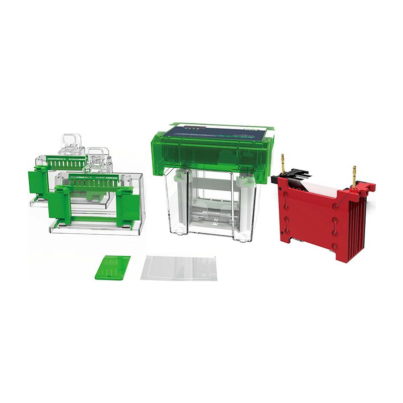 WB-Protein and Transfer Electrophoresis Cell