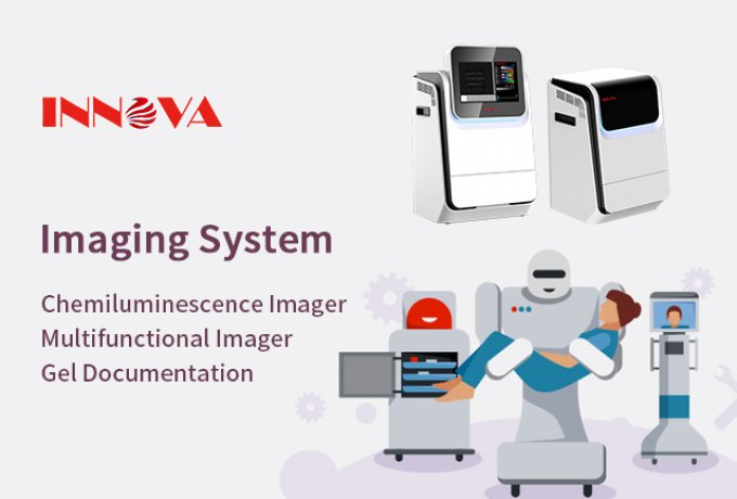 How to select gel imaging system？