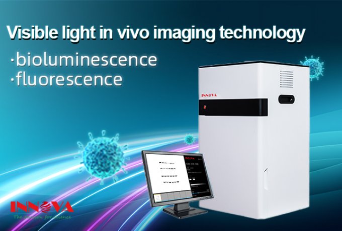 Visible light in vivo imaging technology