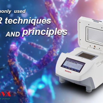 commonly-used-pcr-techniques-and-principles