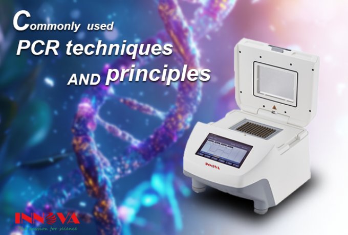 Commonly used PCR techniques and principles